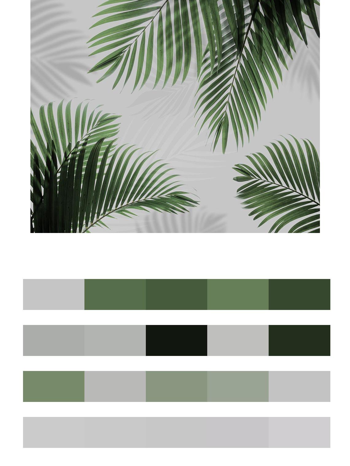 Пальмовые листья зеленые цвета
