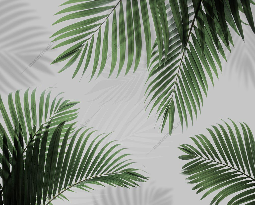 Фотообои Пальмовые листья зеленые